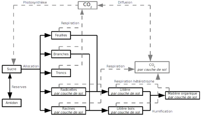 Figure 11: Schéma général du cycle du carbone dans le modèle ASPECTS
