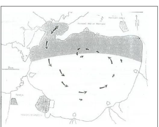 Figure I.3 Schéma de la circulation des eaux et localisation des zones abritées selon Frisoni  et al
