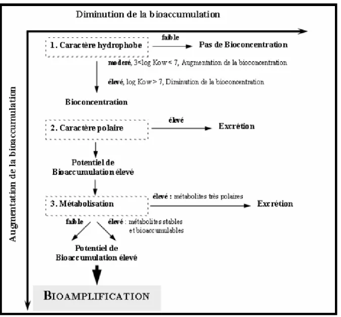 Figure I.18 Propriétés physico-chimiques des contaminants agissant sur leur bioaccumulation (Norstrom et Letcher,  1996)
