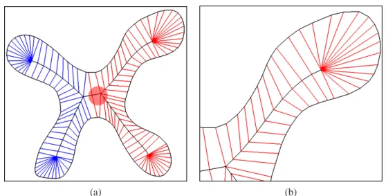 Fig. 1.8: (a) Using the selection tool to select a set of radial edges. (b) The zoom tool focus on a part of the silhouette/skeleton.