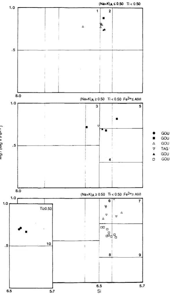 Figure II.19 - Position des amphiboles des gabbros dans la classification de Leake (1978)