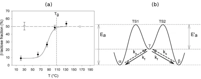 Figure 2.9: (a) : Evolution of the β anomer content measured by solid state NMR versus temperature (solid circles)