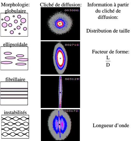 Figure 6 :   Principaux  clichés  de  diffusion,  représentés  sous  forme  d’iso-intensités,  correspondant  à  des  morphologies types et informations pouvant être déduites des clichés de diffusion