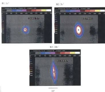 Figure 7 :  Clichés  de  diffusion  de  la  lumière  correspondant  aux  morphologies  en  cisaillement  en  régime  établi du mélange PIB/PDMS pour différents taux de cisaillement