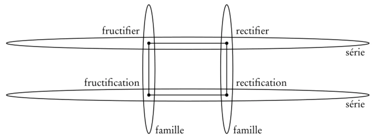 Figure 3.6 – L’analogie fructifier : fructification :: rectifier : rectification interconnecte les familles de fructifier et de rectifier et les séries des verbes en -ifier et des noms en -ion.