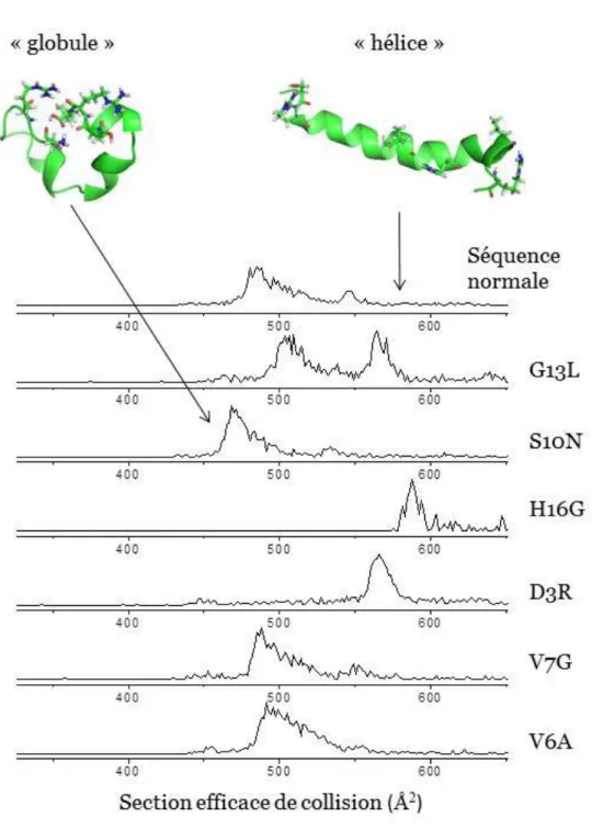 Figure  III-2 :  Distributions  de  sections  efficaces  expérimentales  pour  l’état  de  charge  3+  de  différents variants du peptide M2TMP dans un tube de dérive d’1 m de long, avec un champ électrique  de 770 V.m -1  sous 12 Torr d’He