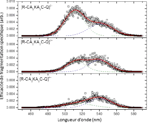 Figure IV-2 : Spectres d’actions obtenus pour des peptides portant les  deux chromophores Rh575 et  QSY7