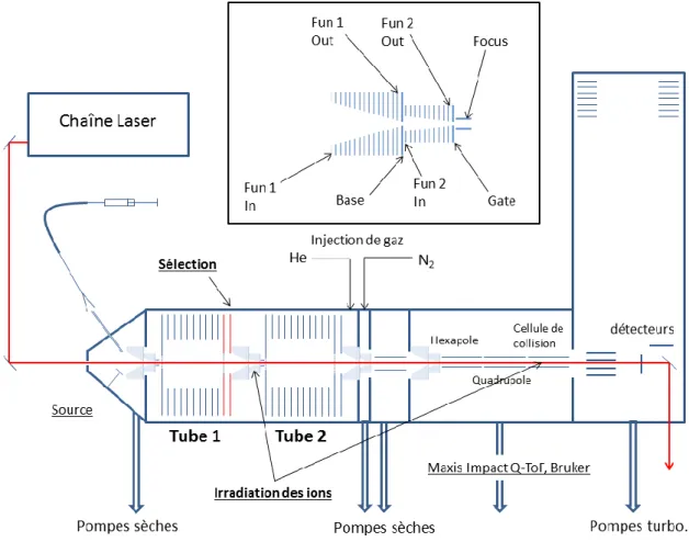 Figure  IV-4 :  schéma  général  du  dispositif  expérimental  développé  en  2015.  L’encadré  représente  une vue agrandie des 4 doubles entonnoirs à ions utilisés aux interfaces entre les différentes zones