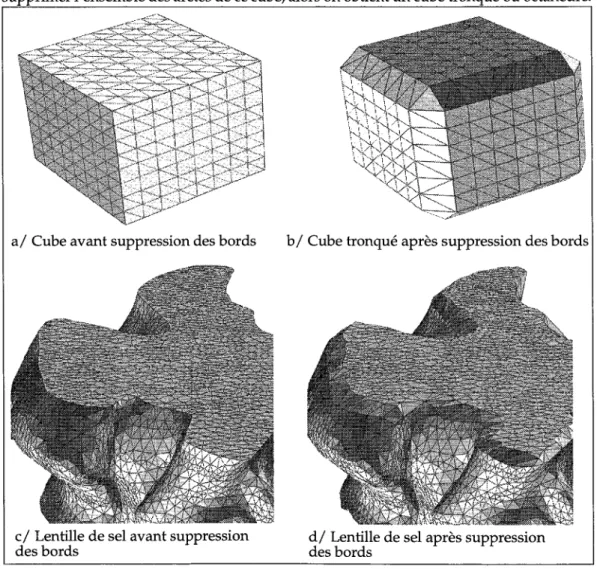 Figure 2-3 :  Le danger de la suppression des cicatrices: le chanfreinage 