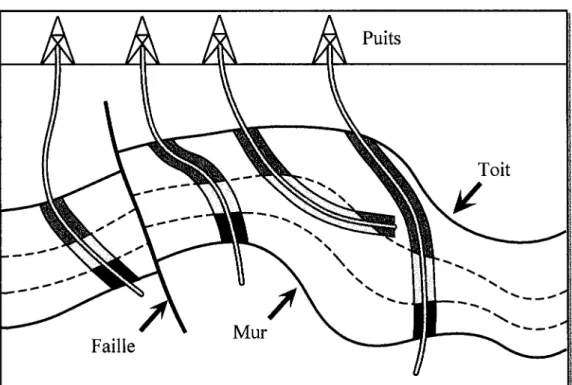 FIG.  1.3  - Problématique et  données  disponibles  (vue  en  coupe).  À  partir d'ho- d'ho-rizons  et  de  failles  visibles  sm  une  section  sismique  (en  noir  gras),  le  but  est  de  déterminer  une  géométrie  possible  des  couches  intermédiai