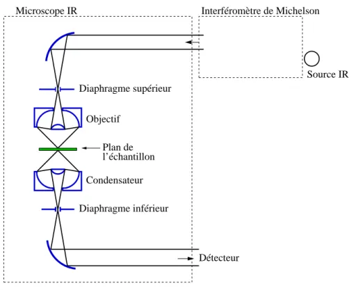 Figure 2.3 – Principe de fonctionnement du microscope IR en mode transmission.