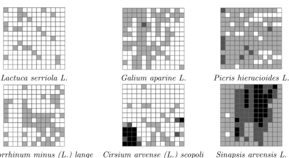 Figure 3.10 – Cartes de classes de densit´e de diff´erentes esp`eces adventice, ` a l’´echelle d’une parcelle.