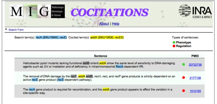 Figure 4. Fenêtre du logiciel CoCitation pour la détection d’entités et la classification de phrases