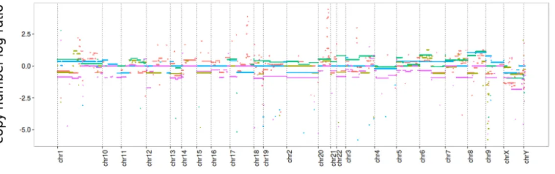 Figure 1.2 – Chromosomal copy number changes (aCGH Agilent 44K Human array)