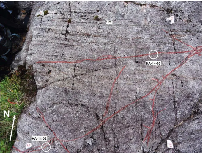 Figure 17: Pseudotachylite network (highlighted in red) in granulite host rock from Ådnefjell (North)  showing the sample locations of the two drill cores, HA-14-02 and HA-14-03, presented in this thesis
