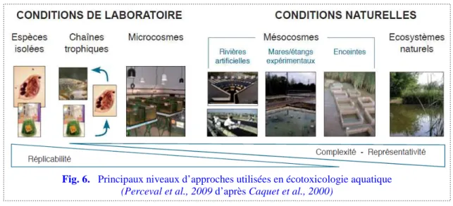 Fig. 6.   Principaux niveaux d’approches utilisées en écotoxicologie aquatique                        (Perceval et al., 2009 d’après Caquet et al., 2000) 