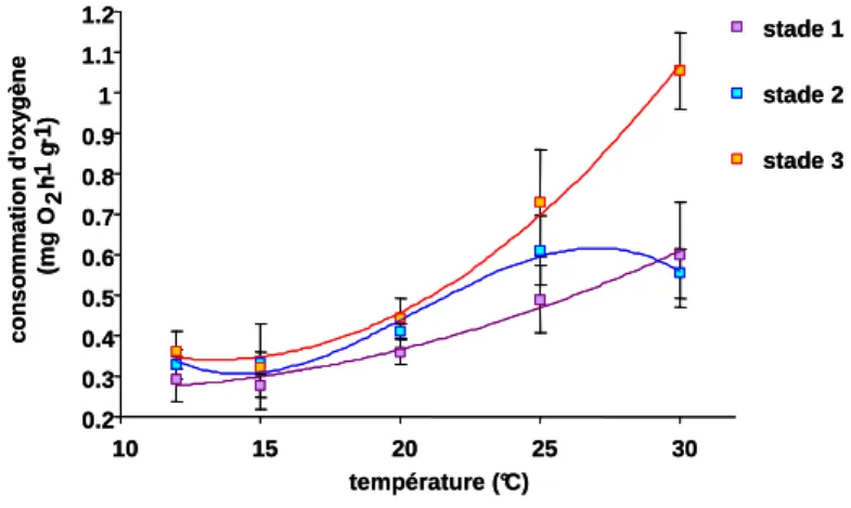 Figure 5 : Respiration moyenne exprimée en mg O 2  h -1  g -1  (moyenne ± erreur standard, n=7) en fonction de la température et  du stade de maturation des huîtres