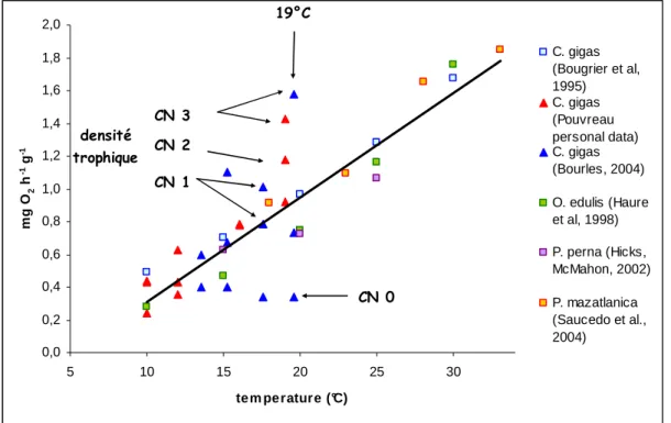 Figure 6 : Respiration en fonction de la température. Les triangles correspondent à des points expérimentaux obtenus dans  différentes conditions nutritives croissantes de CN0 à CN3 à Argenton en 2002, 2004