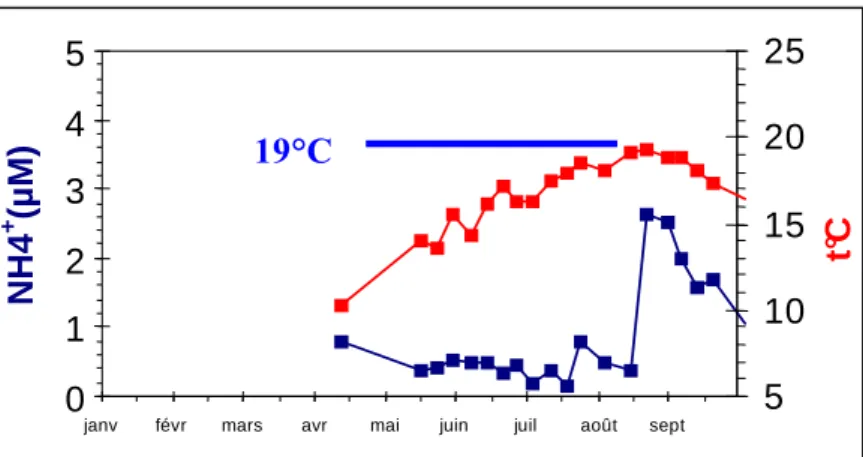 Figure 12 : profils de température et de teneurs en ammonium dans la masse d’eau en baie des Veys