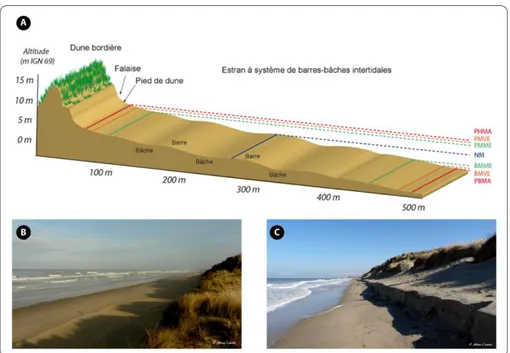 Fig.  I-18:Extract  of  marine  map  (SHOM)  at  Zuydcoote  and  a  profile  bathymetry  between  the  shoreline  and  the  tidal  banks named Hills