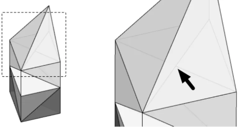 Figure 2.7. Exemple de complexe non valide généré avec un algorithme de tétraédrisation de De- De-launay.