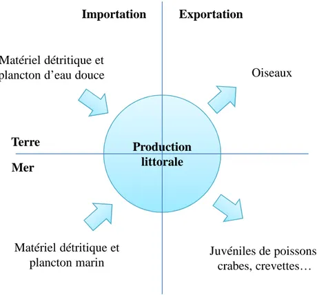 Figure 1 : Flux de matières dans les milieux tidaux situés entre la terre et la mer (modifié de Reise,  1985)