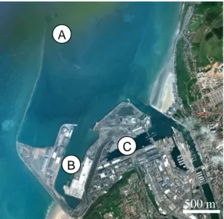 Figure 15 : Localisation des sites de caging dans le port de Boulogne sur Mer. 