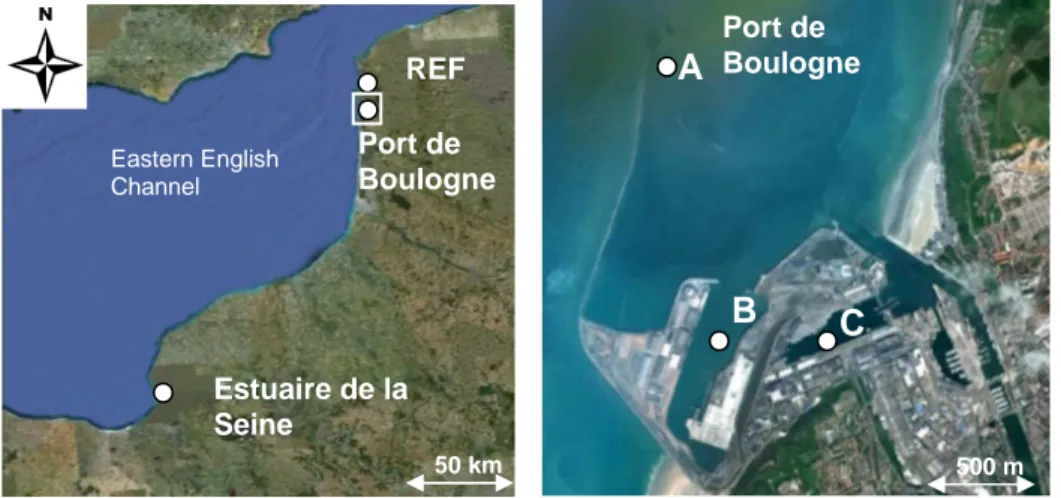 Figure 19 : Localisation des sites de prélèvements dans le port de Boulogne sur Mer (3 prélèvements),  dans la vasière nord de l’estuaire de la Seine (1 prélèvement) et sur la plage de Wimereux (1 