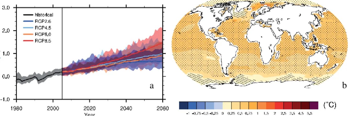 Fig.  I-2:  prévisions  des  changements  de  température  de  surface  des  océans  (moyenne  annuelle  à  l’échelle globale) basé sur les résultats d’ensembles multi-modèles  (IPCC, 2007)  à  l’horizon 2060 (à  gauche)