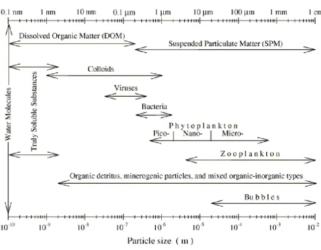 Figure 1.4. Diagramme de la variation en taille des constituants de l’eau marine [Stramski et al., 2004].