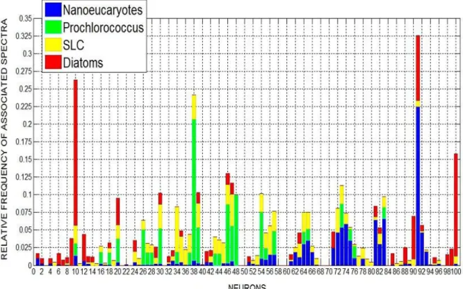 Figure 4.2. Fréquence relative des labels associés aux spectres de Ra répartis sur les 100 neurones de la carte  auto-organisatrice 
