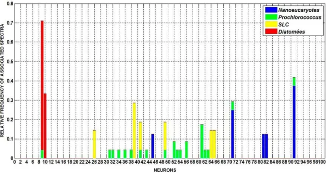 Figure 4.6. Fréquence relative des labels associés aux spectres de Ra répartis sur les 100 neurones  (labellisation à partir des 41 spectres de Ra utilisés pour le développement de PHYSAT version 2008)   