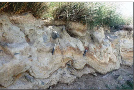 Figure  2-18  :  Photographie  de  sismites  couplées  à  de  la  cryoturbation  sur  la  faille  de  Bogd  Occidentale
