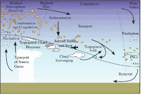 Figure 15. Cycle de vie des aérosols stratosphériques, d´après Hamill et al., 1997. 