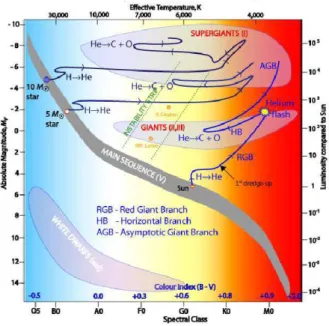 Figure 1.1 – Evolutionary Tracks in an HR diagram. Adapted from a ﬁgure of the Australia’s National Science Organ- Organ-isation (CSIRO)