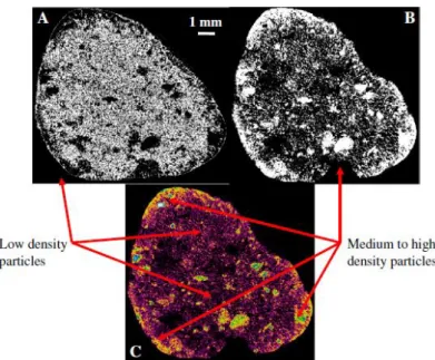 Figure  13:  Distribution  spatiale  des  particules  à  faible  et  hautes  densité  au  sein  d'un  agglomérat issu de minerai de nickel latéritique (D'après Nosrati et al