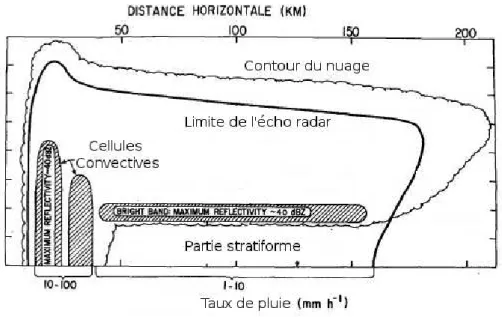 Fig. 1.1 – Coupe verticale de r´eflectivit´e radar typique d’une ligne de grains d’apr`es Leary et Houze (1979a).