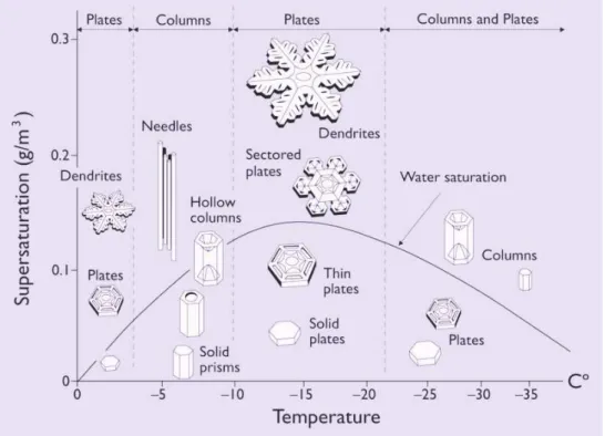 Fig. 1.3 – Diagramme Temp´erature-Sursaturation de r´epartition des cristaux de glace 1