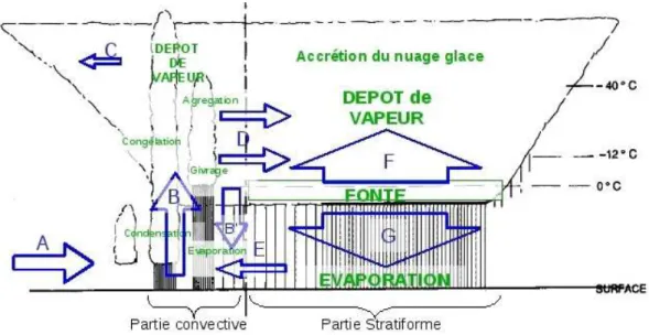 Fig. 1.8 – Sch´ema de r´epartition des processus microphysique en fonction de la dynamique.