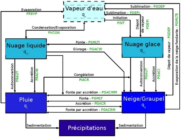 Fig. 1.10 – Sch´ema repr´esentant les variables et processus microphysiques inclus dans le mod`ele de restitution (les pointill´es correspondent `a la variable non explicitement  repr´e-sent´ee).