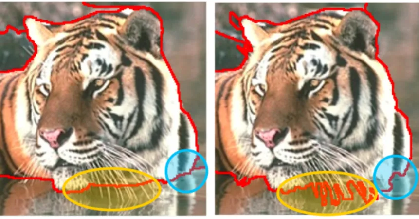 Figure 2.1: Inconsistency of human annotations in the Berkeley segmentation dataset: different humans interpret an image at varying levels of granularity, resulting in annotations that are  poten-tially inconsistent
