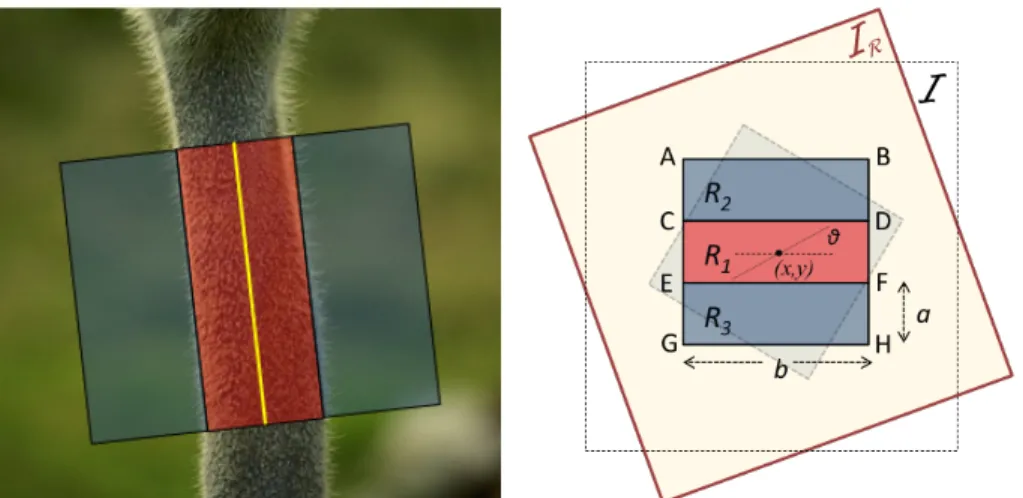 Figure 2.7: Left: The feature contents of the middle part are not similar to either the contents of the left or the right parts