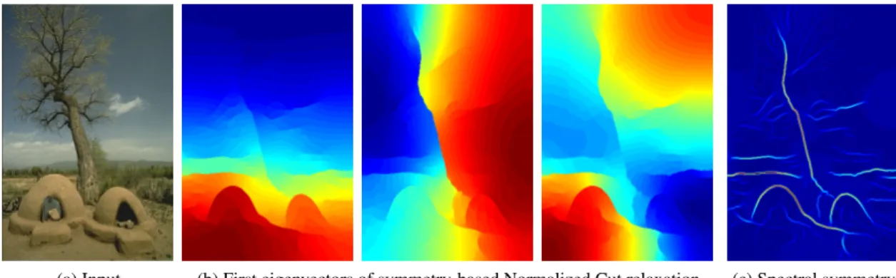 Figure 2.8: Spectral symmetry feature: using as input image (a) and the output of a ‘first stage’