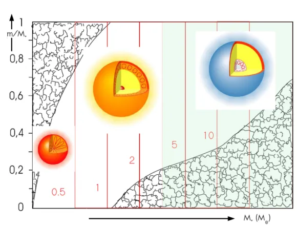 Figure 3.5: Internal structure of main sequence stars as a function of mass at solar metallicity