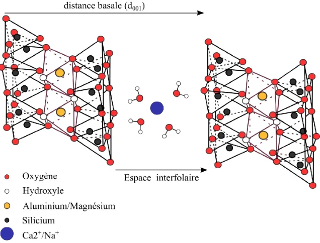 Figure I-12 : Cation compensateur échangeable et capacité d'hydratation des feuillets, adapté de Grim  (1968) 