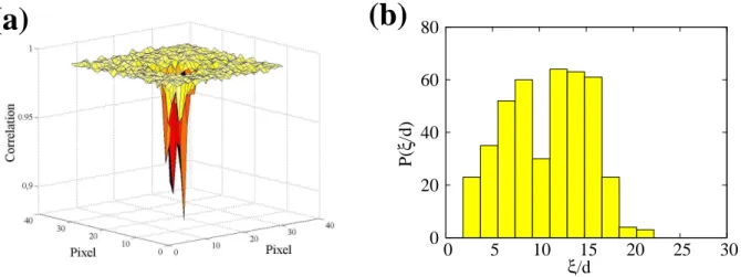 FIG. 2. Characterization of hot spots (a) 3D representation of a typical spot. (b) Distribution of hot spots sizes ξ in units of beads diameter d during a creep experiment.