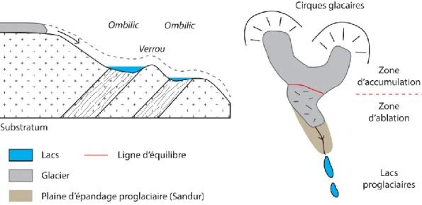 Figure 1.2b. Schéma en coupe (à gauche) et en plan (à droite) d’un système glaciaire où les  lacs se développent dans les surcreusements topographiques formés par l’abrasion glaciaire  (ombilics),  modifiée  d’après  Campy  et  Macaire,  2003
