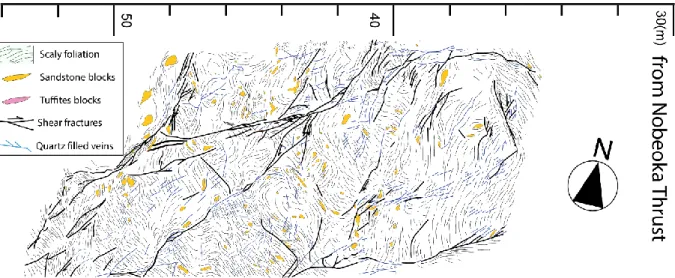 Figure 2: Exposure of the Hyuga Tectonic Mélange along the eastern coast of Kyushu, in the vicinity of the  NTL (location in Fig