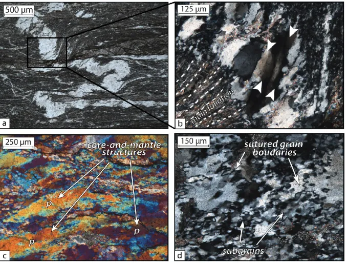 Figure 9. Example of microstructures observed in the Foliated Morotsuka. A-B) Folded, flattened and partly  sheared quartz vein