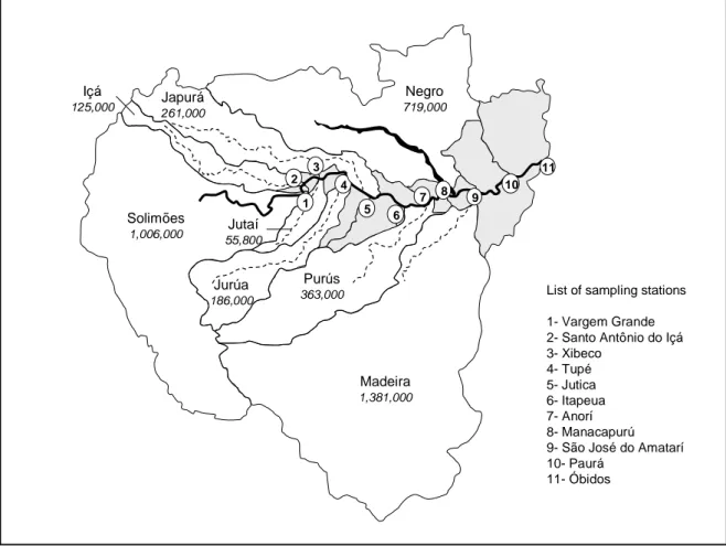 FIG. 1. Map of the Amazon basin upstream from Óbidos showing the major tributaries and the geographical  repartition of small tributaries (areas coloured in grey) along the Amazon River main stem
